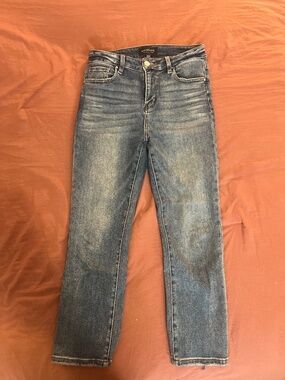 Risen OG Straight Leg Distressed Jeans